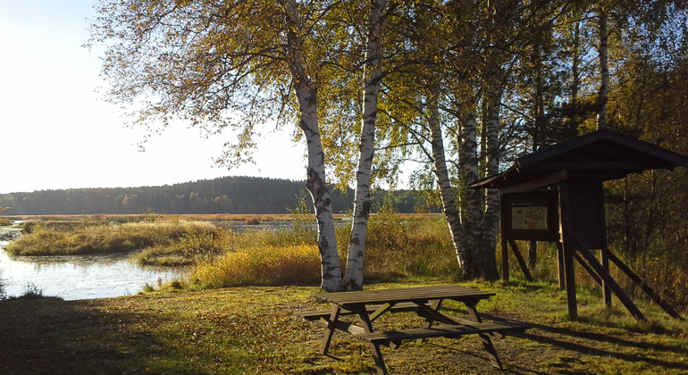 Nature Reserve Sderhamn, Gävleborg - Prästgården Hotel, Söderhamn